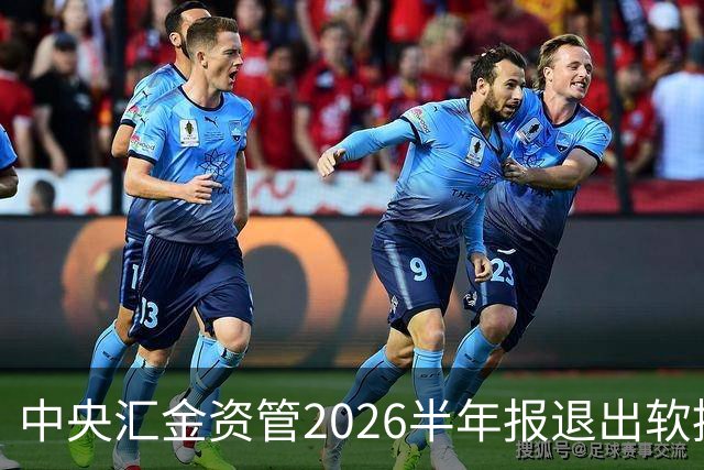中央汇金资管2026半年报退出软控股份前十大股东名单