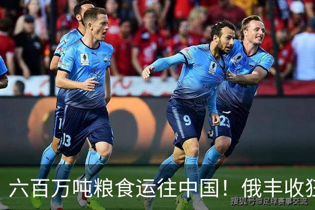 六百万吨粮食运往中国！俄丰收狂销刷出新纪录，我们在依赖它吗？