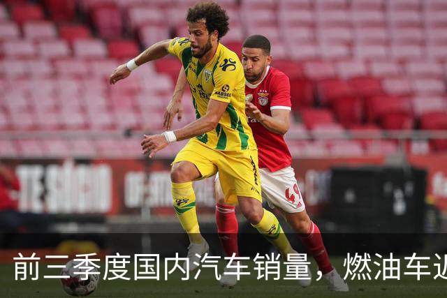 前三季度国内汽车销量，燃油车近乎腰斩，比亚迪销量断崖领先