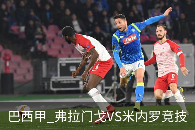 巴西甲 弗拉门戈VS米内罗竞技