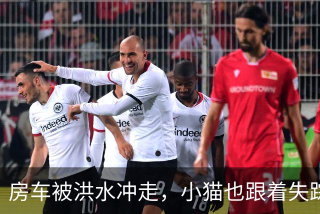 房车被洪水冲走，小猫也跟着失踪，8天后它突然回家了，全家人都哭了