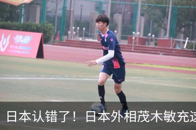 日本认错了！日本外相茂木敏充这回把话挑明了：