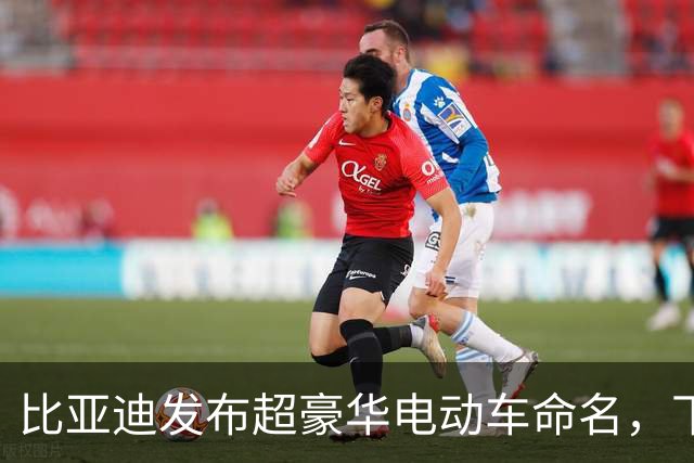 比亚迪发布超豪华电动车命名，下周或将改写行业格局