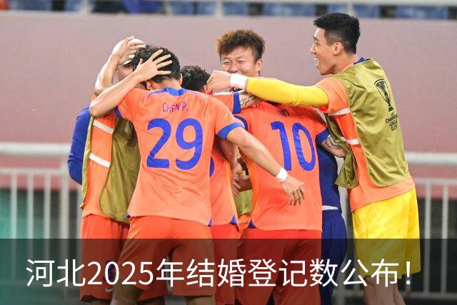 河北2025年结婚登记数公布！