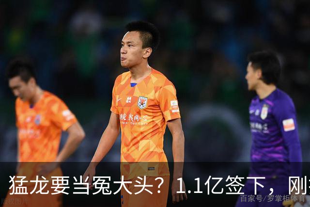 猛龙要当冤大头？1.1亿签下，刚打两场就养伤，快船被他套路了7年