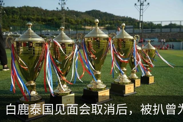 白鹿泰国见面会取消后，被扒曾为缅北拍宣传片，知情人爆更多内幕