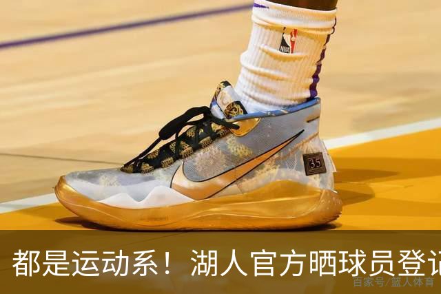 都是运动系！湖人官方晒球员登记照：布朗尼、凯斯勒在列